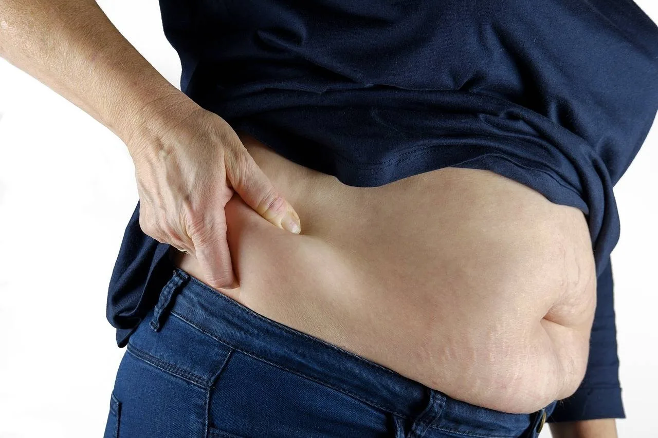 How To Use Hormonal Belly Diet To Lose Hormonal Belly Fat how-to-use-hormonal-belly-diet-to-lose-hormonal-belly-fat